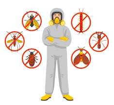 Trusted Techniques for Pest Control Las Vegas Residents Rely On
