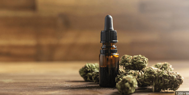 CBD Oil and Pain Relief: A Winning Combination
