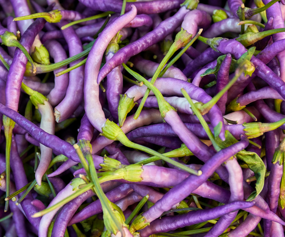 Growing Purple Cayenne Peppers: Tips for a Bountiful Harvest