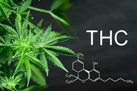 Master the Art of THC Detox: Top Methods