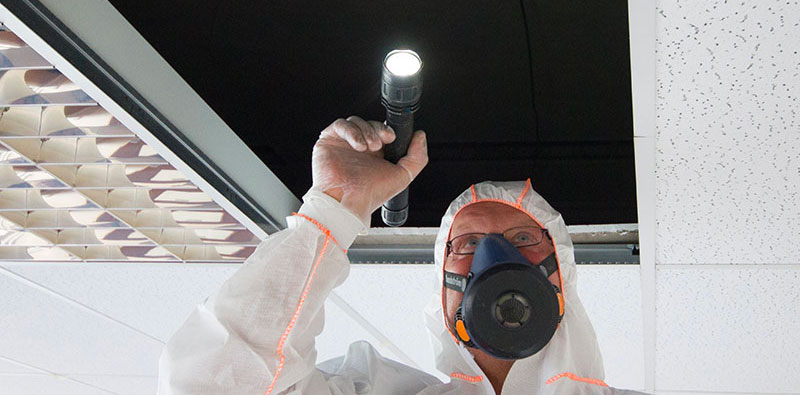 Asbestos Surveys: Minimizing Health Threats in Buildings