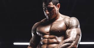 The Best Help guide to Reliable Online Steroid Purchase Sites