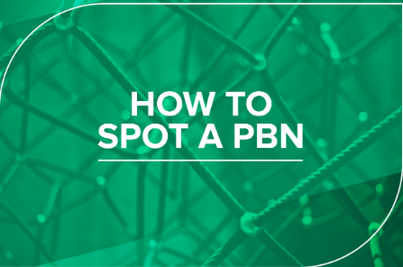 PBN Link Building 101: A Beginner’s Guide to Maximum Successful Linking