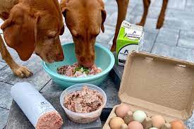 Raw Meat for Dogs: The Essential Component of Canine Nutrition