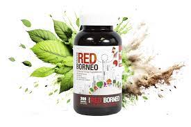 Kratom Marvels: Exploring the World of Buy Kratom