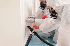 The Essential Guide to Asbestos Testing: Protecting Your Health and Property